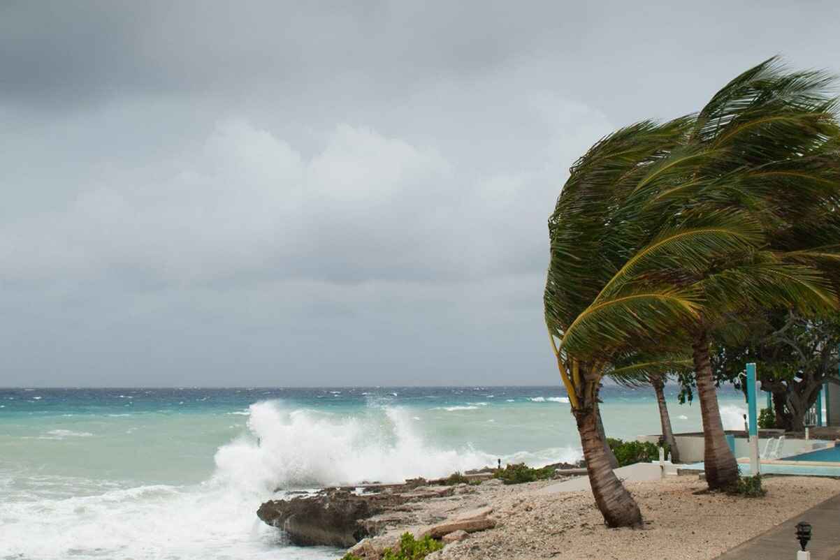 Should you invest in Cyclones Protection?