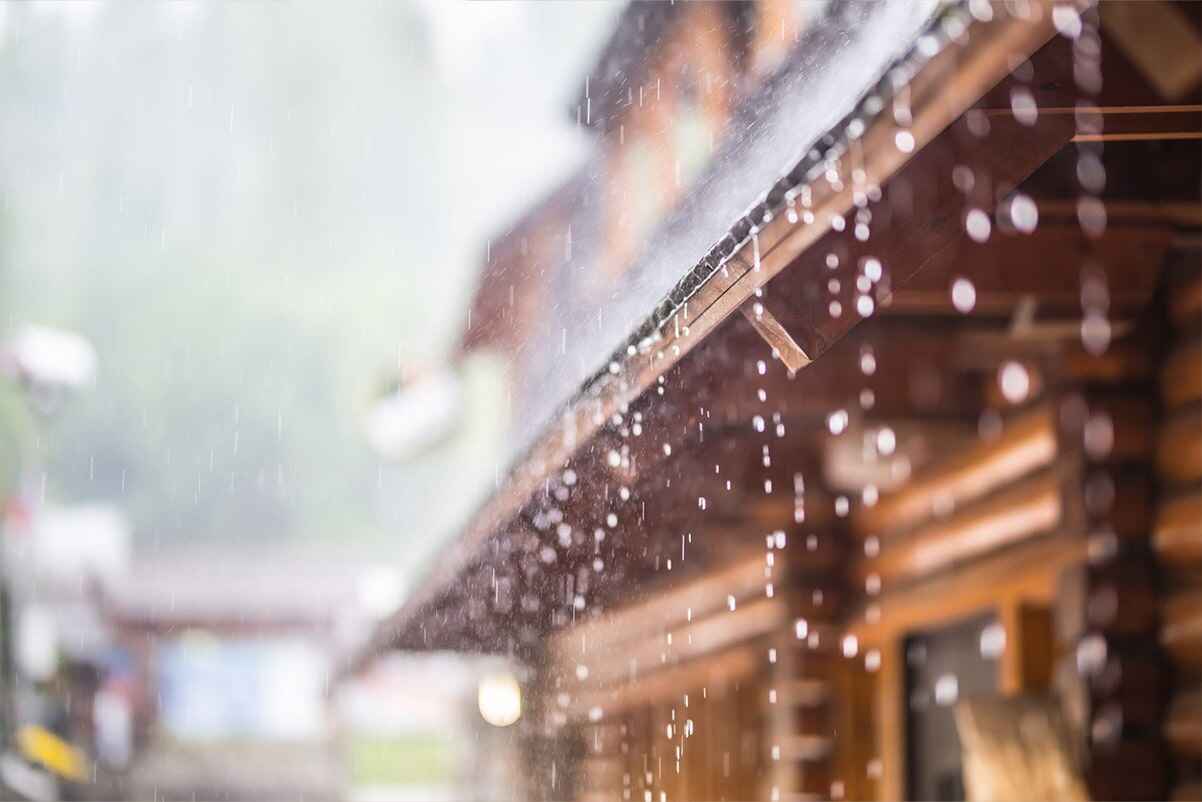 Picking the right hurricane window protection